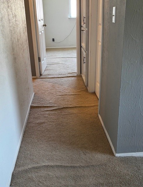 Buckled carpet before stretching